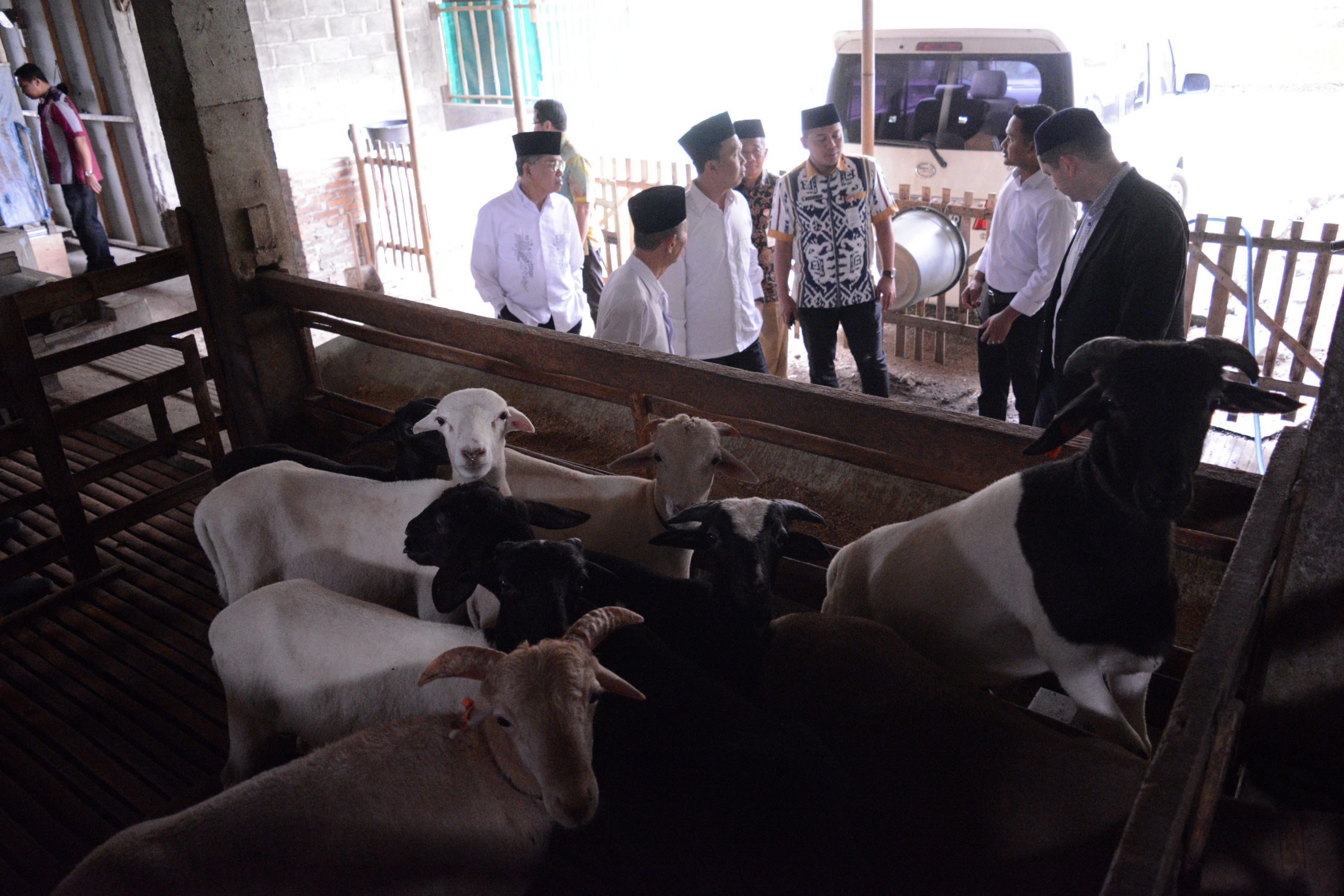 BAZNAS Provinsi Jawa Tengah Mengunjungi Rumah Pemotongan Hewan (RPH) Toros Farm Magelang